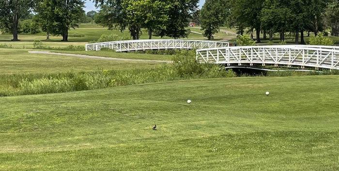 The Jewel of Grand Blanc - Web Listing Photo (newer photo)